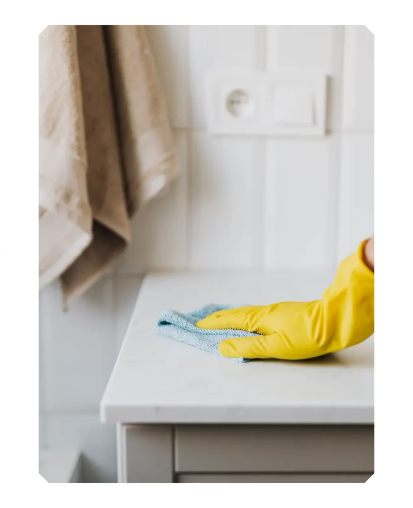 Limpieza y Puesta a Punto